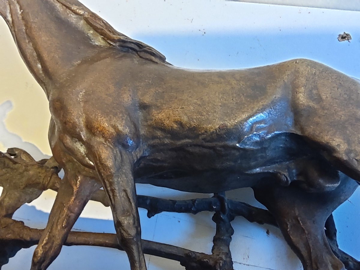 Bronze Horse At The Barrier By Pj Mene-photo-2